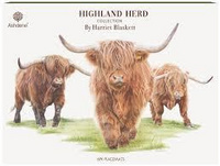 Highland Herd 6pk Placemat